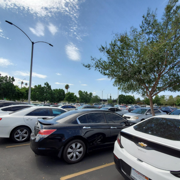 Parking News Article